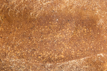 Whole grain bread texture background