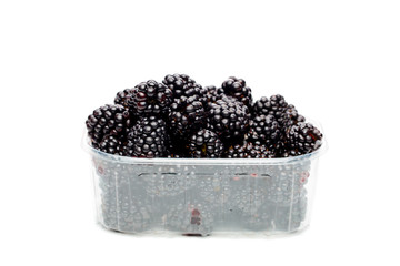Photo of ripe blackberry in container .