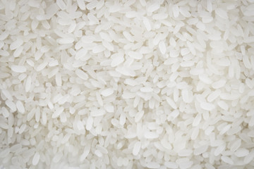 Uncooked Rice Texture