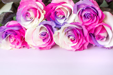 multicolor roses on a pink background.