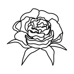 rose with leafs icon