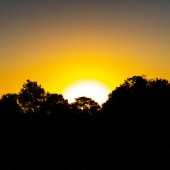 Obraz premium Sunrise Sillhouette