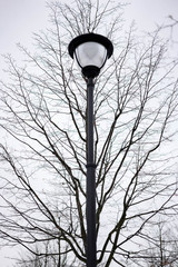 street lamp in front of blue sky