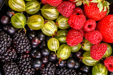 Image of blackberry, strawberry, raspberry, gooseberry, black currant