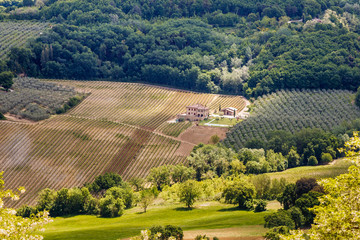 The countryside landscape with village houses, fields, vineyards and surrounding forest near Montepulciano, Tuscany, Italy.