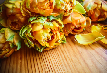 Beautiful orange tulips on a wooden table. Perfect for background greeting card