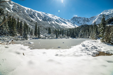 winter in Slovakia Tatra mountains. peaks and trees covered in snow