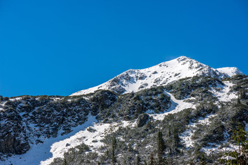 winter in Slovakia Tatra mountains. peaks and trees covered in snow
