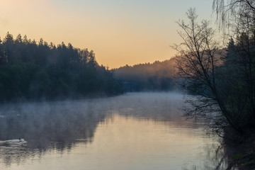 Fototapeta na wymiar beautiful misty morning on the natural forest river Gauja in Latvia