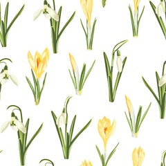 Seamless pattern with white snowdrop and yellow crocus flowers and green leaves on a white background. Good for textile and others.