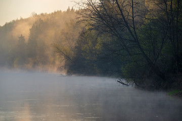 beautiful misty morning on the natural forest river Gauja in Latvia