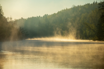 beautiful misty morning on the natural forest river Gauja in Latvia