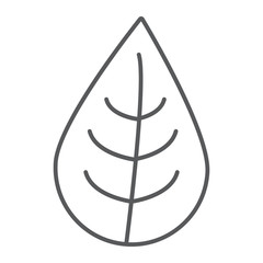 Leaf thin line icon, nature and eco, plant sign, vector graphics, a linear pattern on a white background.