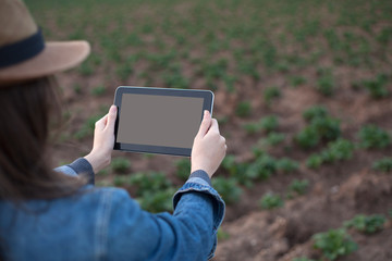 digital farming at cultivated field