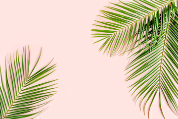 Fototapeta na wymiar Tropical palm leaves on pink background. Flat lay, top view minimal concept.