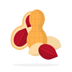 A whole peanut nut, half peanuts and peanuts peeled flat isolated