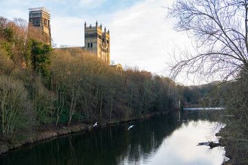 Fototapeta na wymiar Durham Castle and Cathedral and flying gulls over the River Wear, England, UK