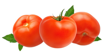 Fresh tomato  with leafs isolated on white background with clipping path