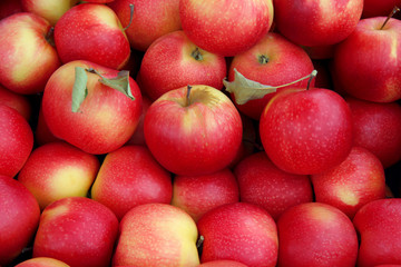 many perfect red apples for food textures
