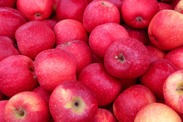 many perfect red apples for food textures