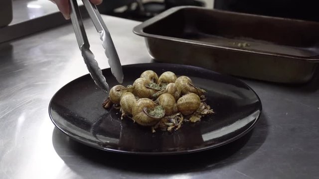 Close up of chef putting snails on plate and preparing gourmet meal in the kitchen