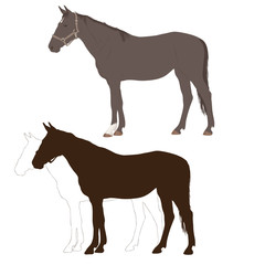 Vector hand - drawn illustration of a horses drawn in outline