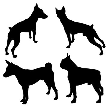 Vector dog illustrations. Set of black silhouettes. Different breeds of dogs -04