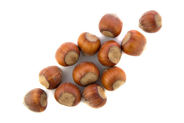 hazelnuts on white background