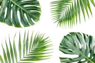 Pattern of tropical green leaves monstera on white background. Flat lay, top view