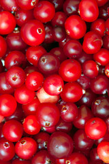 ripe red cranberries, vegetarian food, healthy food