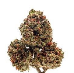 Charlie Girl - Cannabis