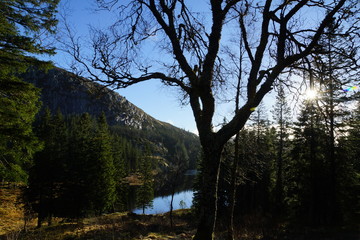 Norwegens Natur 1