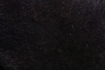 Background for design, cow skin, horse and pig skin texture