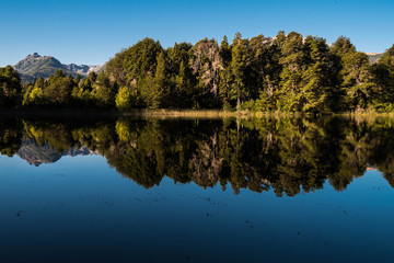 Landscape with trees and reflection on water. 