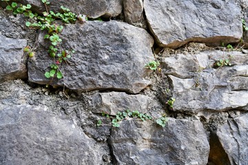 old stone wall with green moss