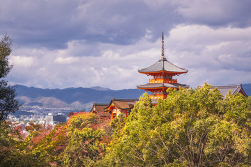 Naklejka premium View of Kyoto and Kiyomizu-dera temple iconic buildings in autumn in Japan