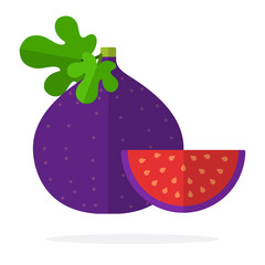 A whole fig and a piece of figs flat isolated