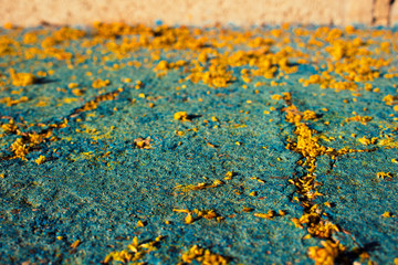 Mimosa. Fallen mimosa flowers on the floor.