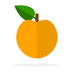Ripe apricot with leaf flat isolated
