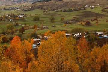 Autumn forest nature. Vivid morning in colorful forest with sun rays through branches of trees. Scenery of nature with sunlight.savsat/artvin/turkey