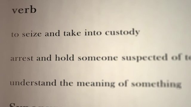 Apprehend Definition