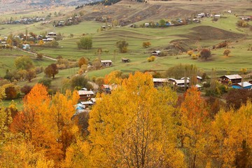 Autumn forest nature. Vivid morning in colorful forest with sun rays through branches of trees. Scenery of nature with sunlight.savsat/artvin/turkey