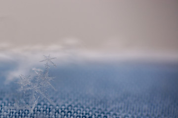 Snowflakes. Winter background