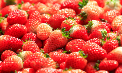 Fresh strawberries, close-up shots