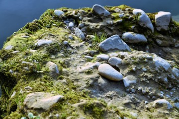 rocky shore of a mountain river with grass and moss