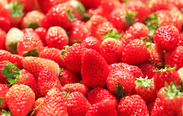 Fresh strawberries, close-up shots