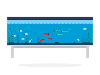 Aquarium with exotic fish flat isolated