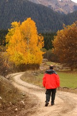 man walking on misty autumn forest road .turkey