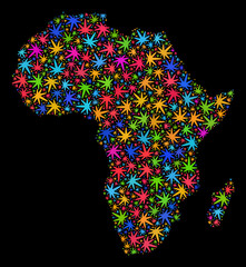 Bright vector marijuana Africa map collage on a black background. Concept with bright weed leaves for cannabis legalize campaign. Vector Africa map is created with weed leaves.