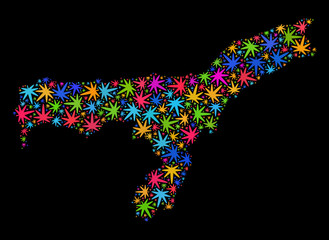 Bright vector cannabis Assam State map collage on a black background. Template with bright weed leaves for weed legalize campaign. Vector Assam State map is composed of cannabis leaves.